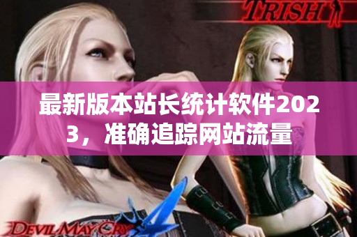 最新版本站长统计软件2023，准确追踪网站流量