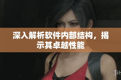 深入解析软件内部结构，揭示其卓越性能