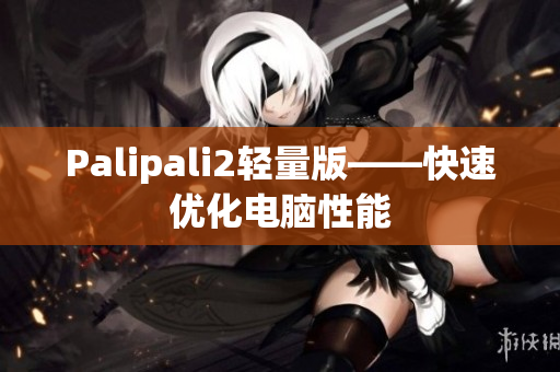 Palipali2轻量版——快速优化电脑性能