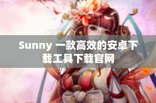 Sunny 一款高效的安卓下载工具下载官网