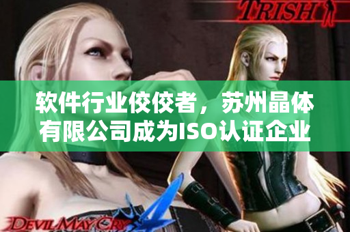 软件行业佼佼者，苏州晶体有限公司成为ISO认证企业
