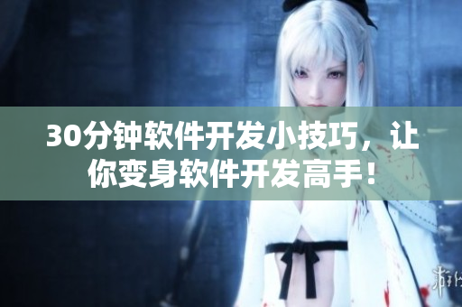 30分钟软件开发小技巧，让你变身软件开发高手！