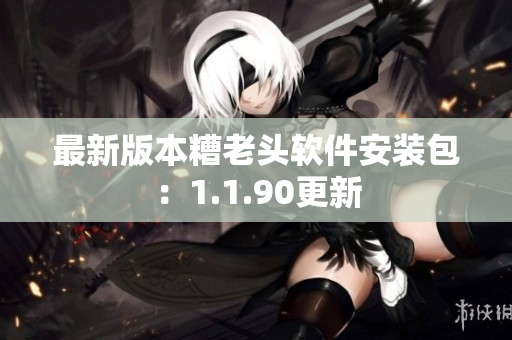 最新版本糟老头软件安装包：1.1.90更新