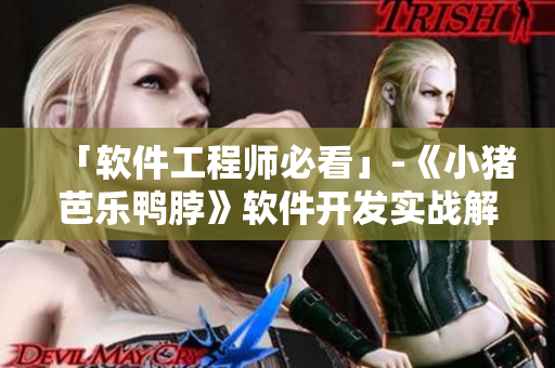 「软件工程师必看」-《小猪芭乐鸭脖》软件开发实战解析