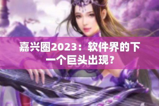 嘉兴圈2023：软件界的下一个巨头出现？