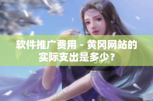 软件推广费用 - 黄冈网站的实际支出是多少？
