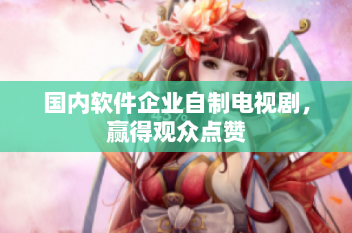 国内软件企业自制电视剧，赢得观众点赞