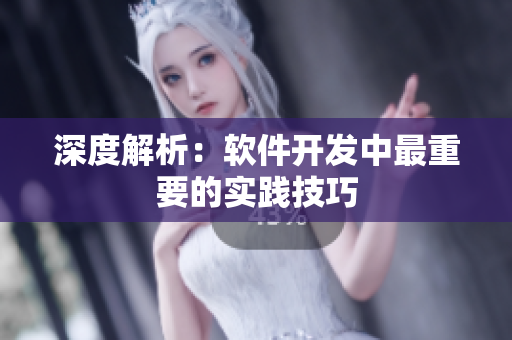 深度解析：软件开发中最重要的实践技巧