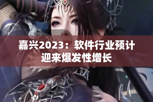 嘉兴2023：软件行业预计迎来爆发性增长
