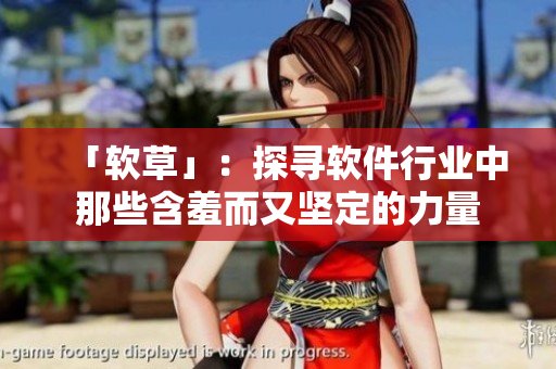 「软草」：探寻软件行业中那些含羞而又坚定的力量