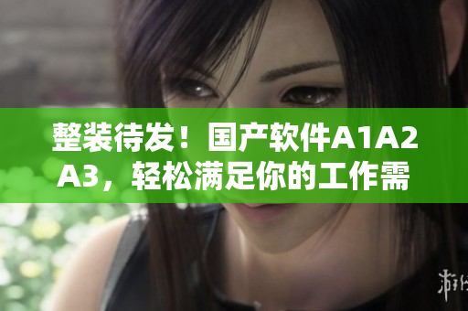 整装待发！国产软件A1A2A3，轻松满足你的工作需求