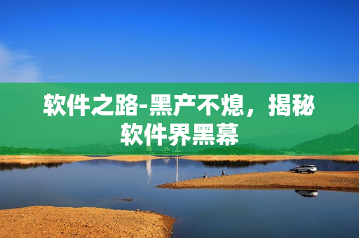 软件之路-黑产不熄，揭秘软件界黑幕