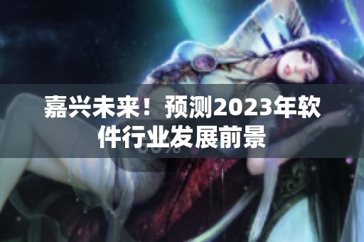 嘉兴未来！预测2023年软件行业发展前景
