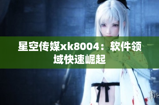 星空传媒xk8004：软件领域快速崛起