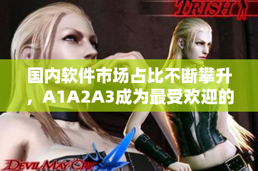 国内软件市场占比不断攀升，A1A2A3成为最受欢迎的选择