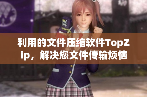 利用的文件压缩软件TopZip，解决您文件传输烦恼