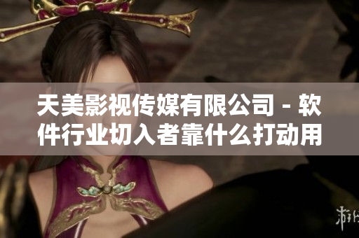 天美影视传媒有限公司 - 软件行业切入者靠什么打动用户？
