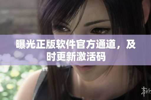 曝光正版软件官方通道，及时更新激活码