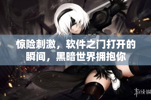 惊险刺激，软件之门打开的瞬间，黑暗世界拥抱你
