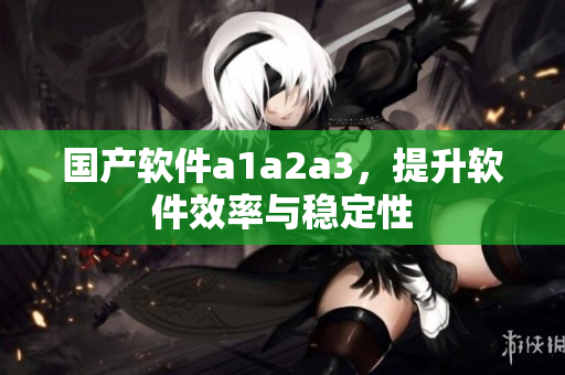 国产软件a1a2a3，提升软件效率与稳定性