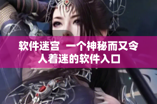 软件迷宫  一个神秘而又令人着迷的软件入口