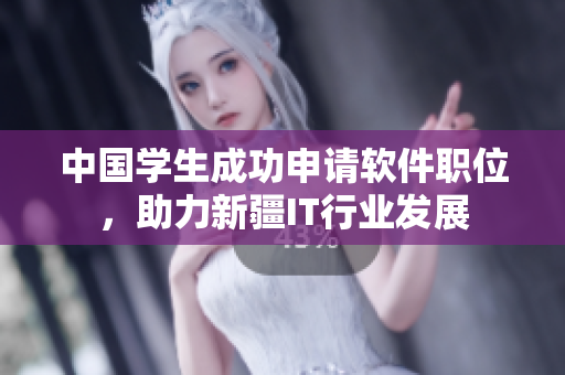 中国学生成功申请软件职位，助力新疆IT行业发展
