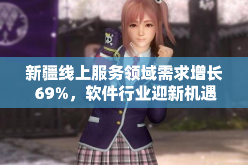 新疆线上服务领域需求增长 69%，软件行业迎新机遇