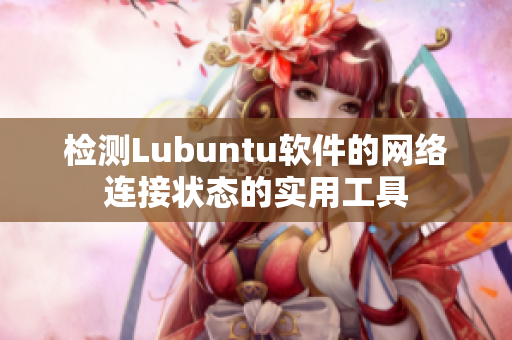 检测Lubuntu软件的网络连接状态的实用工具