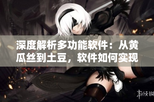 深度解析多功能软件：从黄瓜丝到土豆，软件如何实现多种数据转换？