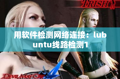 用软件检测网络连接：lubuntu线路检测1