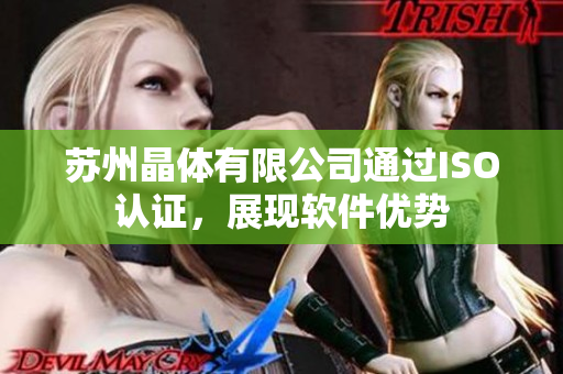 苏州晶体有限公司通过ISO认证，展现软件优势