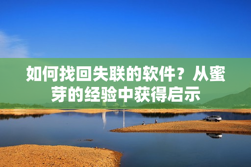 如何找回失联的软件？从蜜芽的经验中获得启示