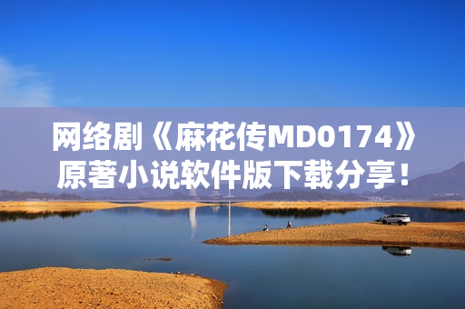 网络剧《麻花传MD0174》原著小说软件版下载分享！