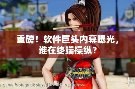 重磅！软件巨头内幕曝光，谁在终端操纵？