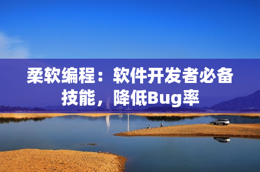 柔软编程：软件开发者必备技能，降低Bug率
