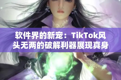 软件界的新宠：TikTok风头无两的破解利器展现真身