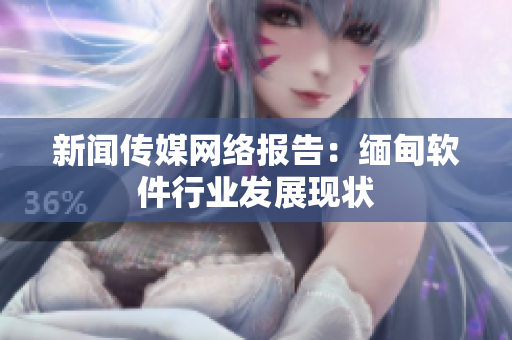 新闻传媒网络报告：缅甸软件行业发展现状