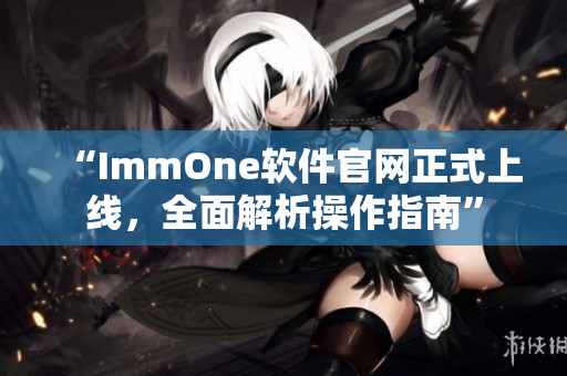 “ImmOne软件官网正式上线，全面解析操作指南”