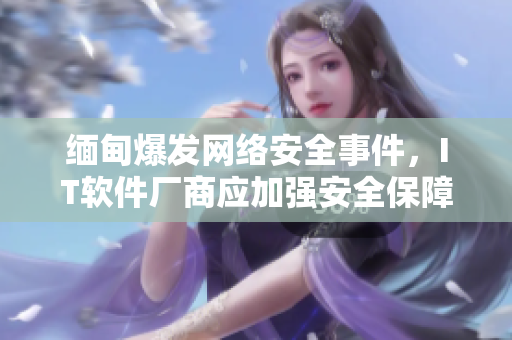 缅甸爆发网络安全事件，IT软件厂商应加强安全保障