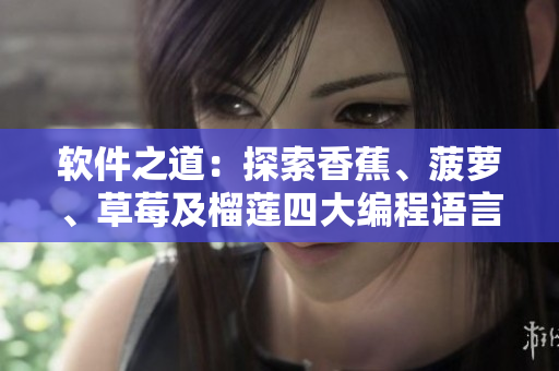 软件之道：探索香蕉、菠萝、草莓及榴莲四大编程语言的秘密