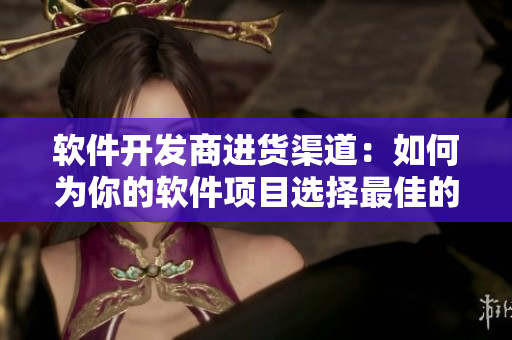 软件开发商进货渠道：如何为你的软件项目选择最佳的供应商？