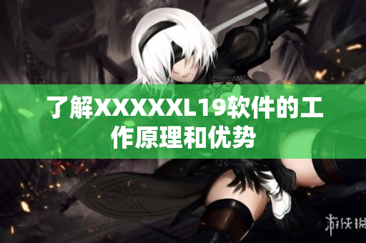 了解XXXXXL19软件的工作原理和优势