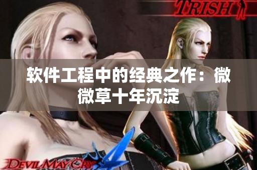软件工程中的经典之作：微微草十年沉淀