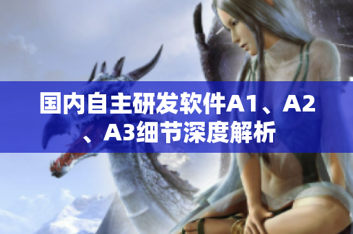 国内自主研发软件A1、A2、A3细节深度解析