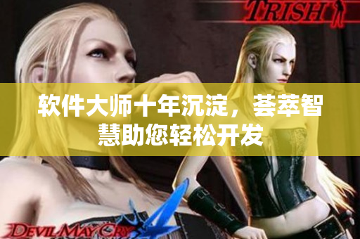 软件大师十年沉淀，荟萃智慧助您轻松开发