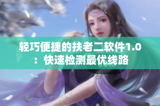 轻巧便捷的扶老二软件1.0：快速检测最优线路