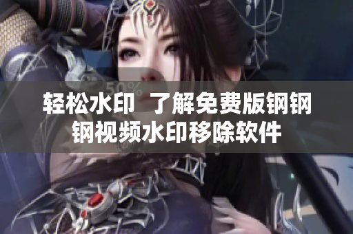 轻松水印  了解免费版钢钢钢视频水印移除软件