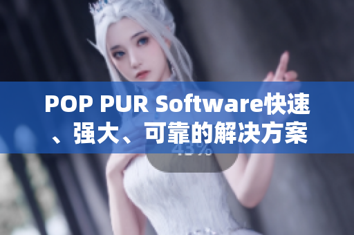POP PUR Software快速、强大、可靠的解决方案