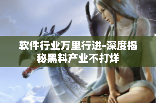 软件行业万里行进-深度揭秘黑料产业不打烊