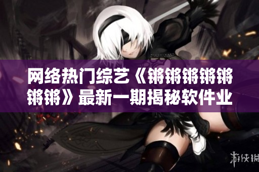 网络热门综艺《锵锵锵锵锵锵锵》最新一期揭秘软件业互联网创新